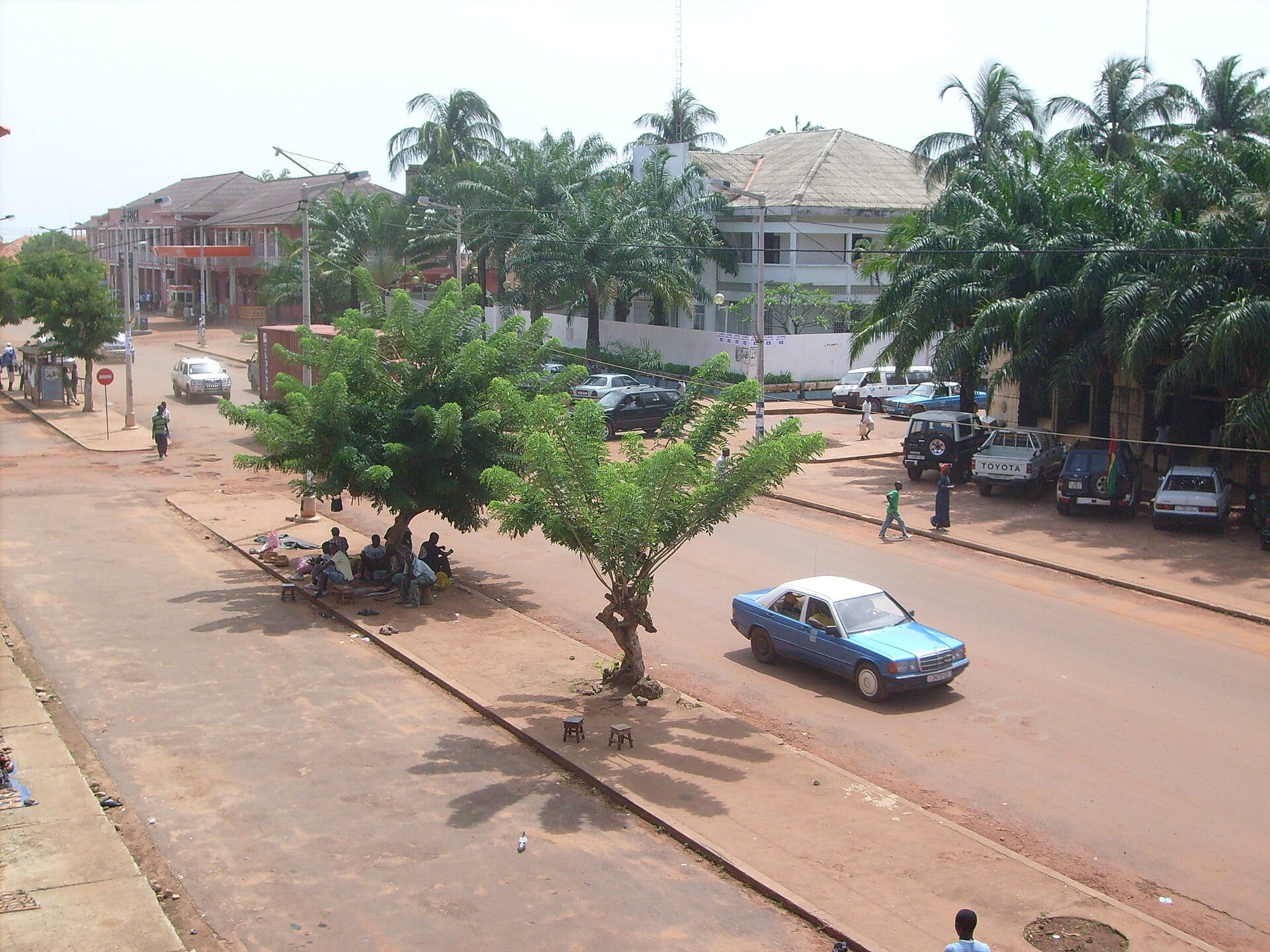 Guinea-Bissau Party Loses 33 Members Over Poll Boycott